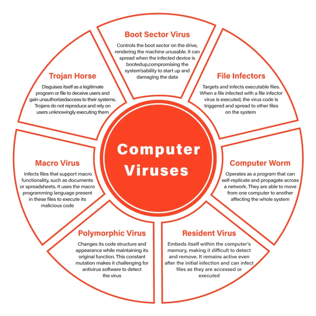 What is a Computer Virus